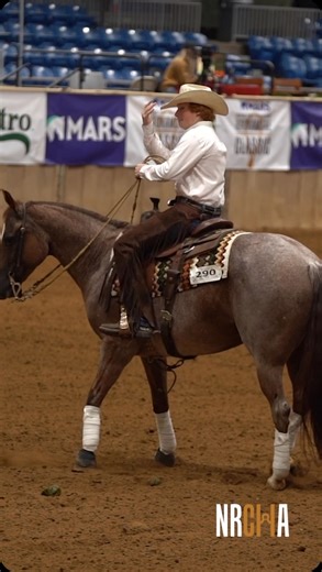 2K views · 353 reactions | Mason Taggart and One Timin Katie topping the Boxing Battle in the Saddle cow work with a high score of 149 #nrcha #cowhorse #tulsaok | National Reined Cow Horse Association | Facebook