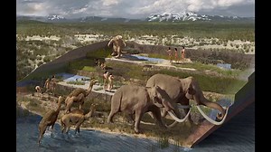 Discovery Of Fossilized Human Footprints In An Ancient Lakebed