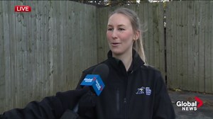 More puppy raisers needed as future CNIB Guide Dogs arrive in Halifax