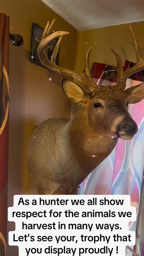 5.8K views · 42 reactions | As hunters we all show respect to our harvests in many ways. Let’s see those mounts! | Huntchannel.tv | Facebook