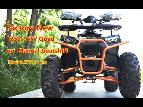 NEW 125cc ATV Quad for OEM: Outer Gearshift & Double Swing Arm AT1111 Pro