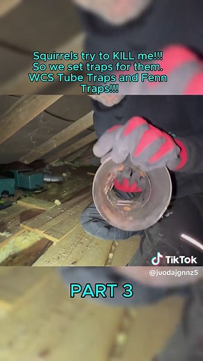 Effective Squirrel Traps for Home Protection Tips