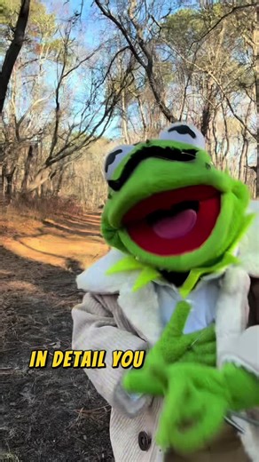 If Lin Manuel Miranda Created The Rainbow Connection