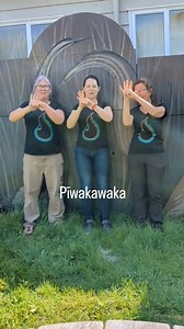 👐 Happy NZ Sign Language Week! 🌟 Last year, our team had a hoot learning bird names in sign language (though our matuku sign was a unique creation!). 🦜 What's your favorite sign language word? 🤟 #NZSLWeek #SignLanguage | Matuku Link