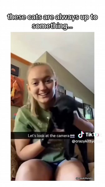 Crazy Cat Videos Compilation | Funny and Entertaining Cats