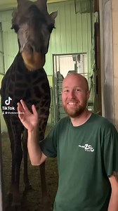 198K views · 3.8K reactions | Giraffe keeper, Blake, is taking us behind the scenes with one of our giraffes… the infamous Charlotte! 漣 #NationalZooKeeperWeek | The Toledo Zoo | Facebook
