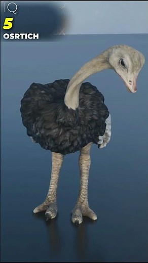 Animals Intelligence IQ Comparison 3D | Real Scale 3D Animation of Animal IQs | ANIMAL SIZE 3D