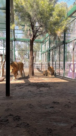 Explore Aguascalientes: Culture and Attractions