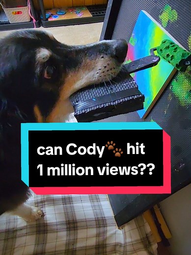 cody_the_painting_doggo on TikTok