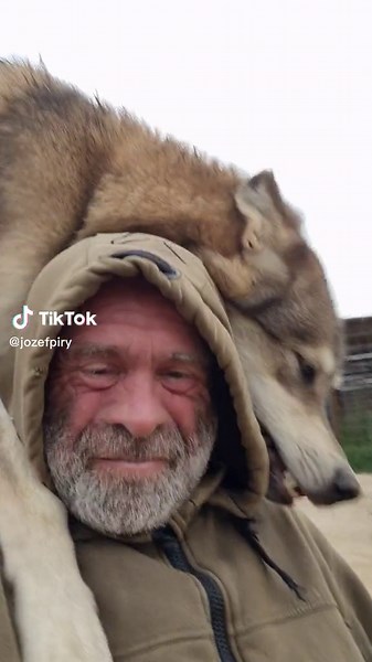 Exploring the Fascinating World of Wolves