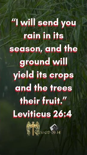 Rain as a Blessing #bible #bibleverse #promise#promise #faith #christian #shorts ‪@Holy-Kingdom‬