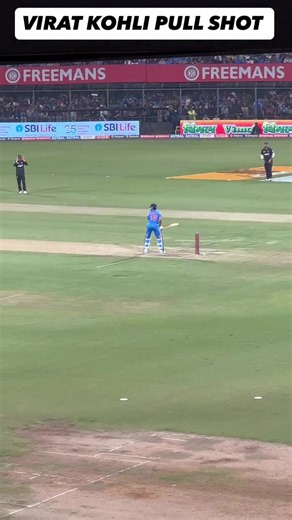 Explore Bat Sounds from Cricket Legends