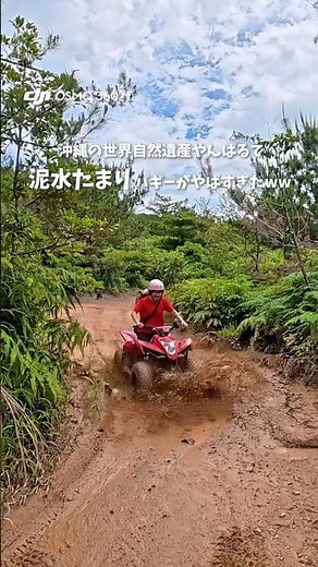 【沖縄】泥水たまりバギーやばすぎたwww #沖縄観光 #沖縄旅行 #やんばる #沖縄ツアー #沖縄バギー