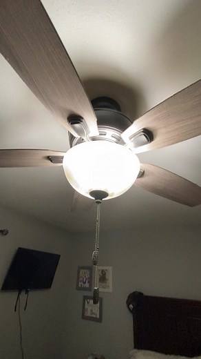 Ceiling Fan with Light Fixture Adjustment in Living Room