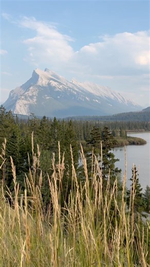 カナダ・バンフの絶景がすごすぎた🇨🇦｜Vermilion Lakes #shorts