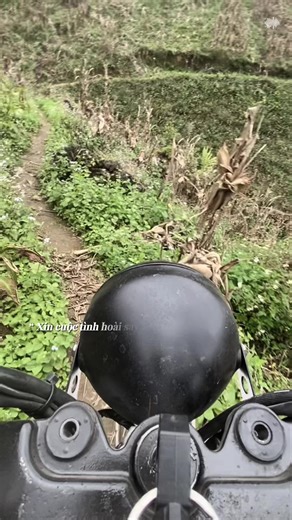 Trăm hoa đẹp nhất hoa hồng Lấy chồnh đẹp nhất là chồng chơi xe 🤣🤣 #bigboy250 #st250 #bobbertown #mộcchâu #viral