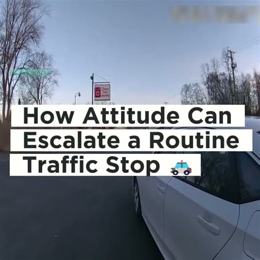 How Attitude Can Escalate a Routine Traffic Stop 🚓 A traffic stop turned tense due to the driver’s behavior, highlighting how cooperation, respect, and calm communication with officers can keep situations safe and efficient 🙂 Watch to learn tips for handling traffic stops responsibly #TrafficSafety #CommunityAwareness #ResponsibleBehavior #StayCalm | Thin Blue Line