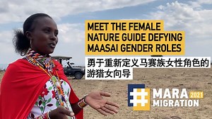 5.4K views · 206 reactions | Kenya's Maasai community plays a special role in the country's tourism and conservation sectors. But strict gender roles mean that women rarely get an equal share of the earnings. We meet one of Mara's few female game guides to learn why she chose to go against the grain. #MaraMigration2021 | CGTN | Facebook