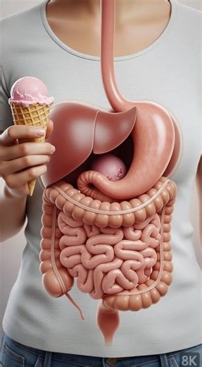 Ice Cream 🍦 in Your Stomach | Cold Treat, Hidden Effects 😮 | Health Stomach#viral #healthshorts