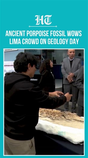 Lima Showcases 10-Million-Year-old Porpoise-Like Fossil On National Geology Day | #shorts