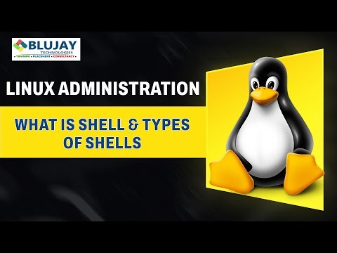 What is Shell in Linux? | Everything You Must Know!