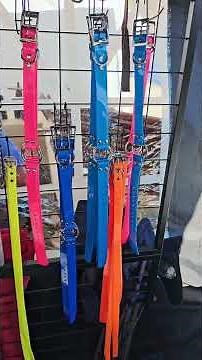 Washington Parish Free Fair Oct. 15-19, 2025🐗🦃🦆🐇🐿🐟