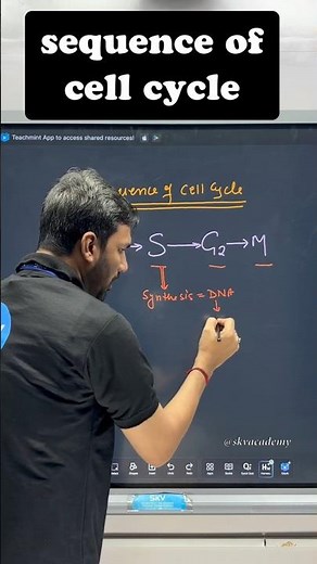 Phases of Cell cycle class 11 #shorts #cellcycleand celldivision #cellcycle class11