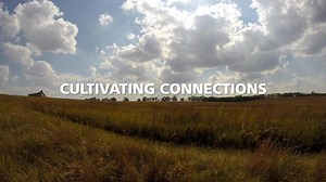 Cultivating Connections: Black Homesteading in America (U.S. National Park Service)