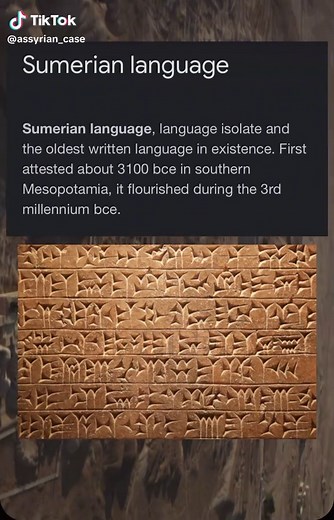 Assyrian case on TikTok