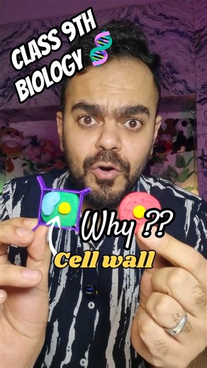 Why do plants have a cell wall?