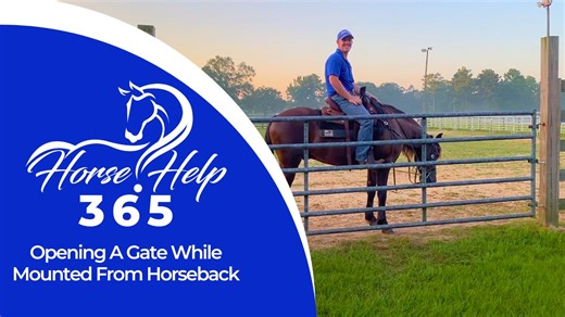 1.5K views · 14 reactions |  Horse Help 365 - Daily Horse Training...
