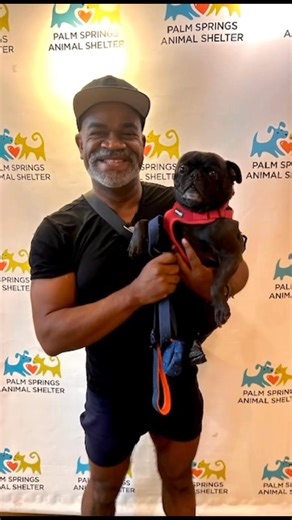 What a week! 🎉 So many happy adoptions, wagging tails, and purrs of joy thanks to our amazing community. 💕 If you haven’t found your new best friend yet, don’t worry—we still have plenty of dogs and cats waiting to meet you at the Palm Springs Animal Shelter! 🐾 | Palm Springs Animal Shelter