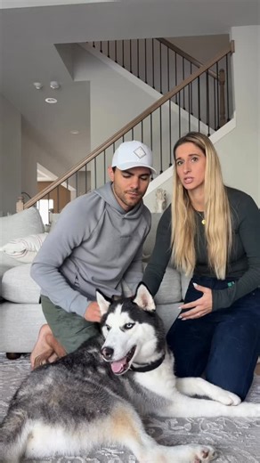 The Moriarty Family on Instagram: "Now that we’ve had some time to decompress, we’ve already learned so much about him! He really is such a sweet boy, but he has very limited socialization with other dogs and doesn’t understand basic manners or social cues. We’re working with a trainer to help him learn how to socialize properly. At the end of the day we have to do what’s right for him and our dogs too so we’ll reevaluate in a few weeks and see where we’re at. Unfortunately we don’t have a ton o