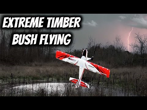 E-Flite Turbo Timber Evolution 3D & Bush Flying Demo