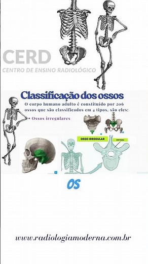 Radiologia: Ossos irregulares #radiologia #radiology