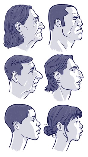 Vince Sparacino on Instagram: "24 profile drawings condensed into a little morphing animation. Inspired by super talented animator @ersharium. #vince_illustration #procreate #digitalanimation #morphing #faceart"