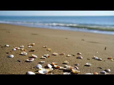 Música Instrumental Relajante Sin Copyright