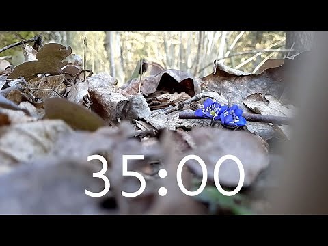 35 Minute Spring Timer with Classical Music and Alarm