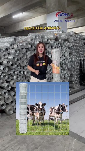 Hog Wire Fencing for Your Farm Animals