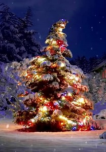 Christmas Yule Log Fireplace S02:E09 - O Christmas Tree & Holiday Music