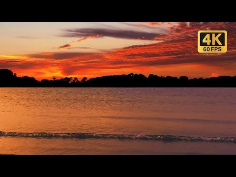 Moonlight Ocean Waves 🌙 | Relaxing Sea Ambience for Meditation & Calm Sleep