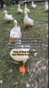 ¡Contexto de la dialéctica! 👇🏼🔥 . Elenchos (del griego: ἔλεγχος) Conocida como 'elenchus'. Es la técnica principal de la dialéctica socrática. . Sócrates es conocido como el padre de la Filosofía Occidental, esto debido a su método filosófico, el cual consistía en preguntar constantemente hasta llegar a un argumento válido que diera rienda entre el pensamiento y la realidad, bajo la certeza de que al ser establecido como un argumento válido, este, podría llegar a construir una noción de la ve