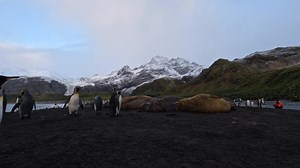 File:Time-lapse of Gold Harbour, South Georgia Island.webm - Wikimedia Commons