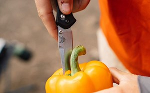 What is CPM S90V Steel? - knife Insight