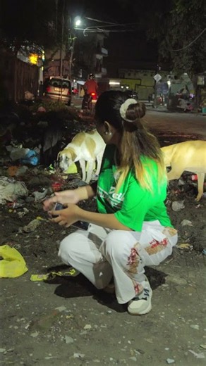 This Dog Was Looking For Someone… 🥺#minivlog #minivlogshorts #doglover