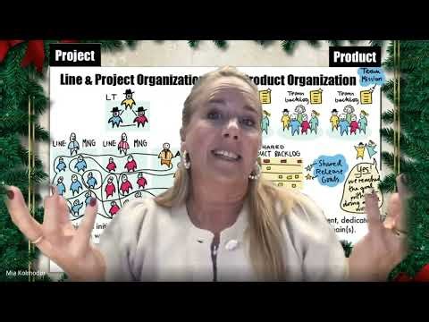 Organization - From Project vs Product Organization in a Nutshell Poster