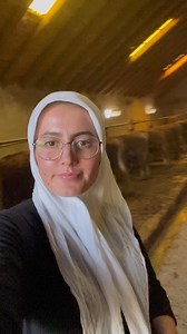 🚜 🚜 🚜 🚜 🚜 #farminglife #combine #funny #tractor #farmgirl #harvest #agriculture #farm #farming #gardening #nature #organic #farmlife #homegrown #growyourown #farmer #johndeere #vegetablegarden #agro #claas #harvesttime #organicgardening #love #newholland #fendt #vegetables | Farmer girl