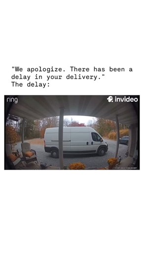 Lynn Swank on Instagram: "My brother is a UPS driver. These delivery drivers face all kinds of delays and have some crazy stories. Go easy on them this holiday season! #delivery #delay #cat"