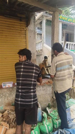 31K views · 807 reactions | Jay shree ram  comment please | মেদিনীপুরের বাবু | Facebook