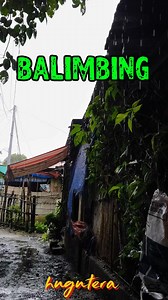 BALIMBING #forcontentpurposesonly #hugutera #balimbing | Hugutera